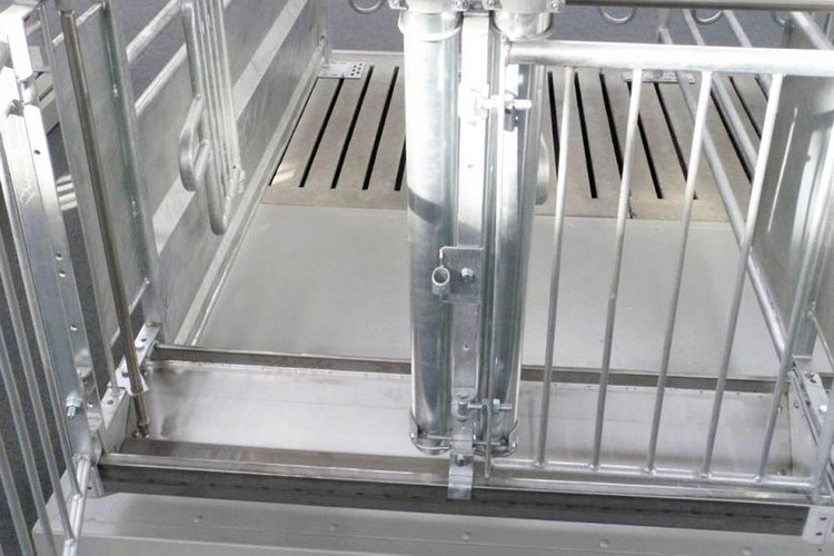 Stainless trough for pigs