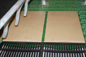 Polymer plate for sows