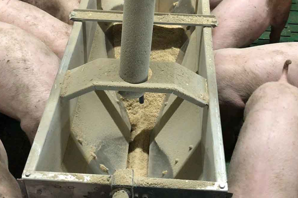 WET/DRY Feeder