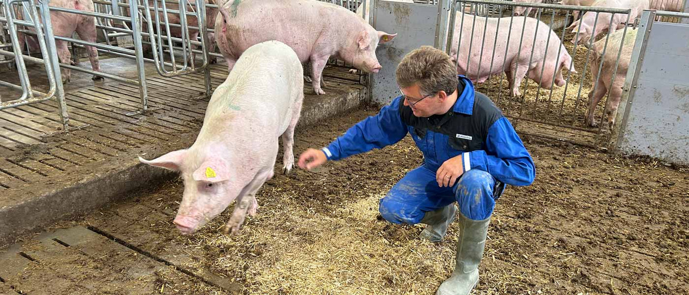 ACO-Funki-søger-projektsælger