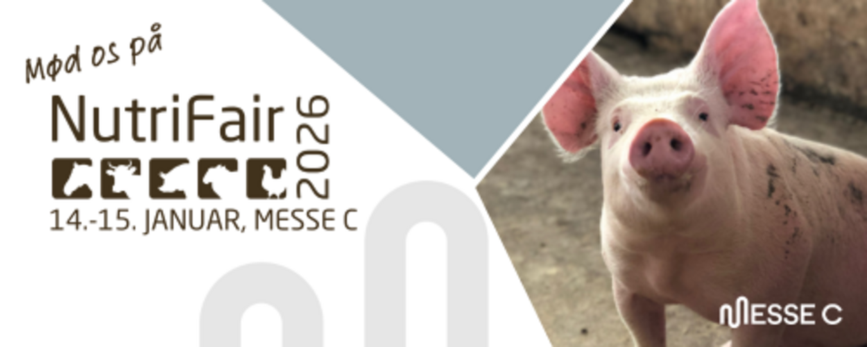 Mailsignatur DK Gris