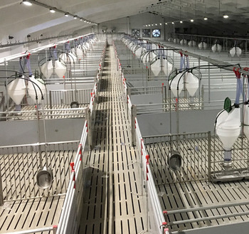 01-Full-line-project-Belarus