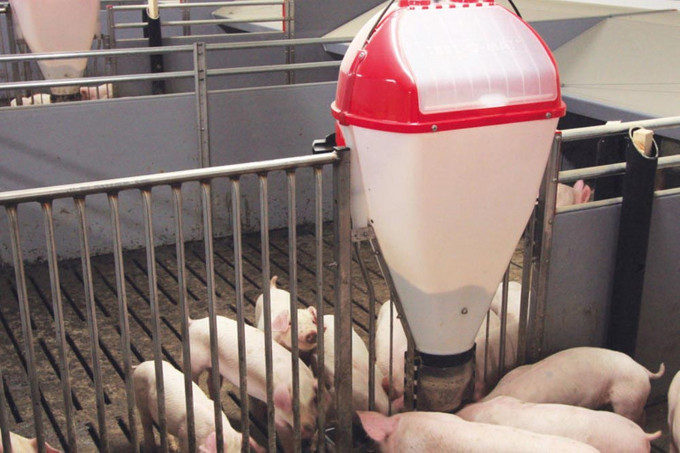 Tube-o-mat-feeder