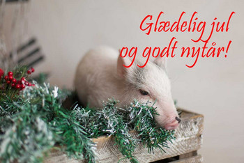 God jul og godt nytår God jul og godt nytår