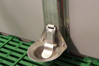 Drinking cup with stainless plate