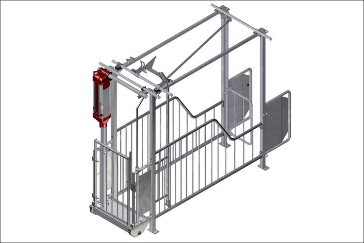 LD-box-mating-and-gestation