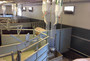 CombiFeeder-farrowing-pen