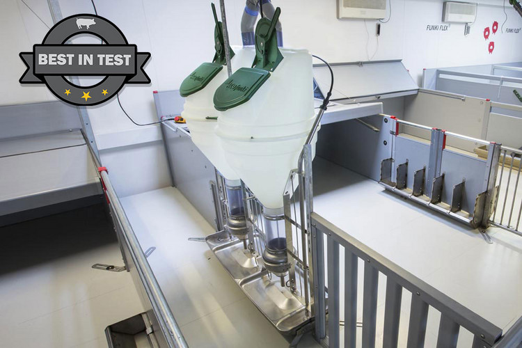 Funkimat-double-feeder-pigs-showroom-best-in-test