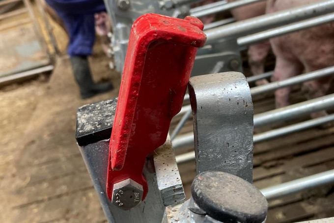 Red-handle-for-mating-and-gestation-box-MAG-box