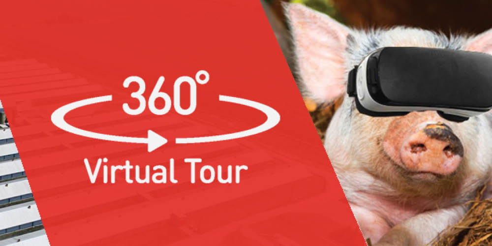 VR Tour i en dansk grisefarm