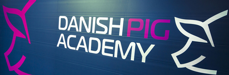 Danish-pig-academy