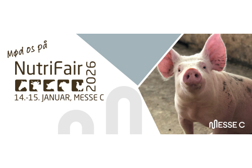 2026 Mailsignatur - Mailsignatur DK gris