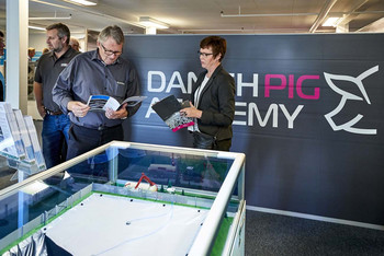 Danish Pig Academy