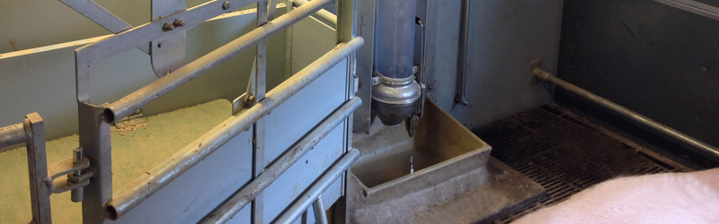 Combi feeder